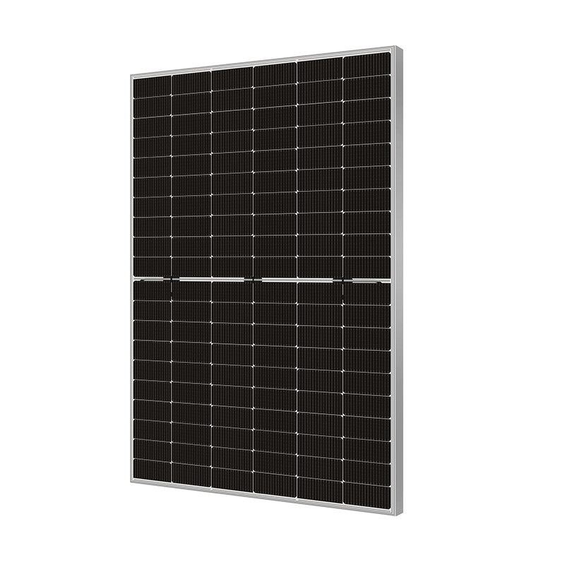 Bifaziales Mono-Solarmodul vom Typ N